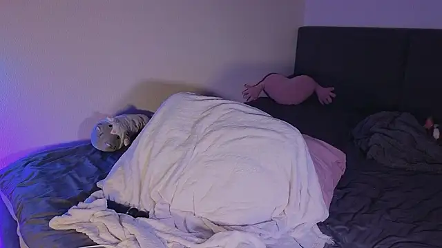 shey1i online show from February 11, 2026, 6:19 pm