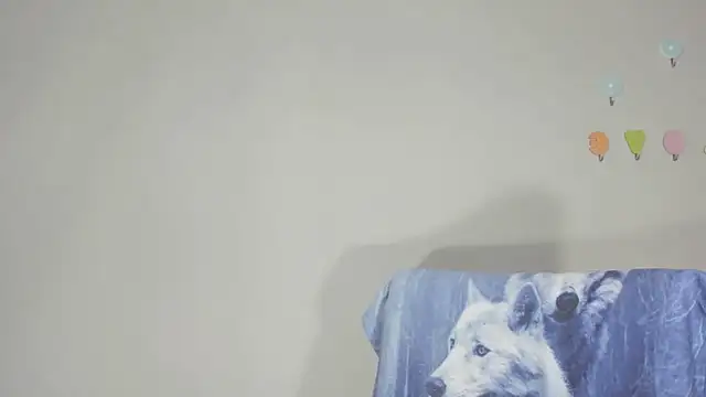 IndianBibix online show from October 16, 2025, 4:04 pm