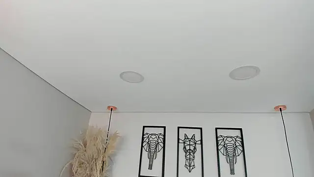 Rebeca jones online show from November 15, 2025, 12:09 pm