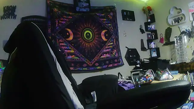 spunlikecottoncandy online show from April 11, 2026, 6:32 am