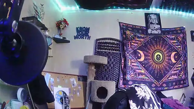 spunlikecottoncandy online show from March 31, 2026, 8:00 pm