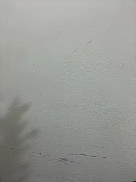 croftsmila online show from December 19, 2025, 11:29 pm