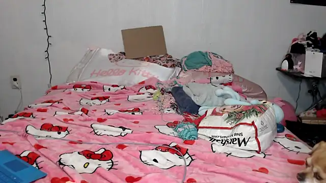 Snapshot of Cupcakecutie449 chatting on February 7, 2026, 6:43 am Cupcakecutie449 online show from February 7, 2026, 6:43 am