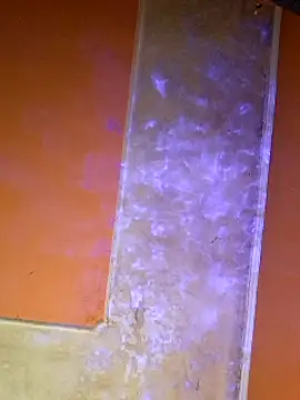 Snapshot of ducicsajsziii chatting on March 7, 2025, 8:33 pm ducicsajsziii online show from March 7, 2025, 8:33 pm