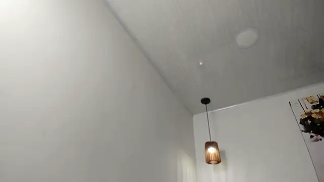 dolly zoe online show from February 13, 2026, 4:56 am