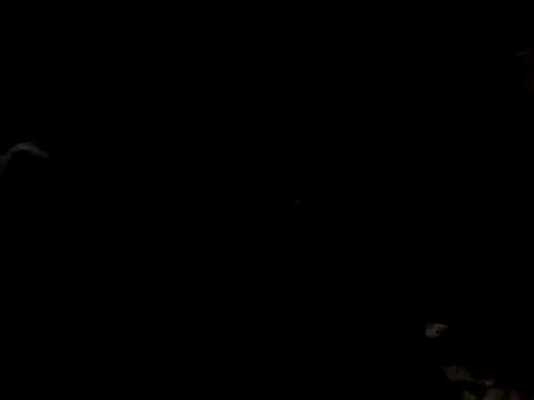 Nawtyslaveteen online show from November 24, 2025, 8:31 pm