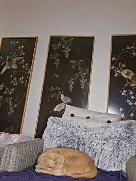 Hotbodyscottie online show from February 1, 2026, 12:03 pm