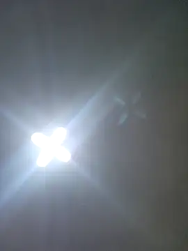 Ricorryxh online show from October 14, 2025, 4:24 am