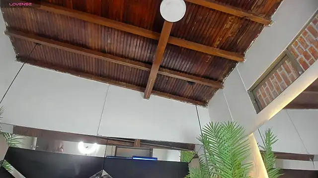 emily-fox online show from June 19, 2026, 11:05 am