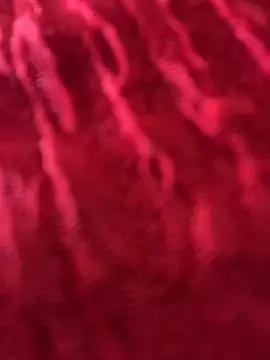 LikaCat online show from March 26, 2026, 2:10 am