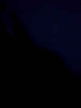 stefanie010 online show from March 19, 2026, 11:43 am