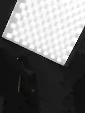 DenisHailey online show from April 3, 2026, 7:42 pm