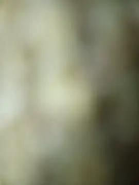 Snapshot of Lolo20cm6 chatting on May 15, 2026, 3:21 pm Lolo20cm6 online show from May 15, 2026, 3:21 pm