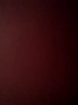 Treemandude online show from October 25, 2025, 6:34 am