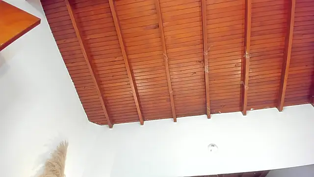 sofhiaa adaams online show from November 15, 2025, 8:57 pm