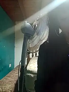 gala2 online show from February 27, 2025, 10:01 am