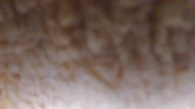Burberrry  online show from June 22, 2026, 7:22 pm
