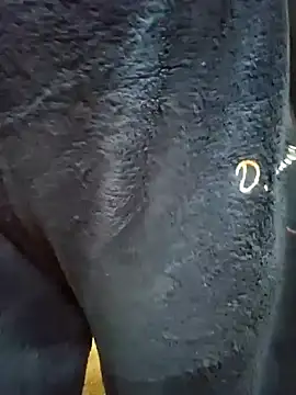 Bhabhi  sexy online show from January 13, 2025, 5:02 pm