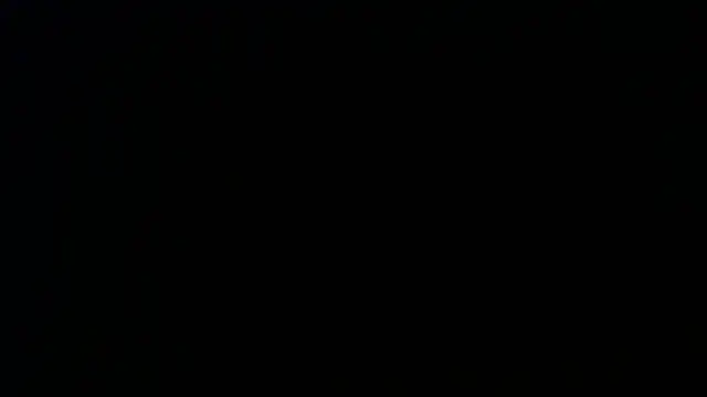 Sophia your online show from April 9, 2026, 12:11 pm