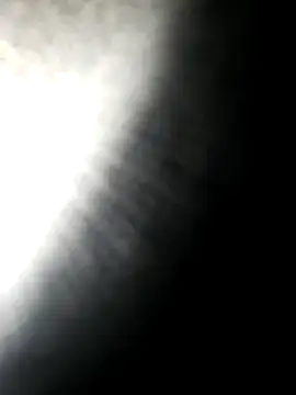 hotdog4you2 online show from October 16, 2025, 9:56 pm