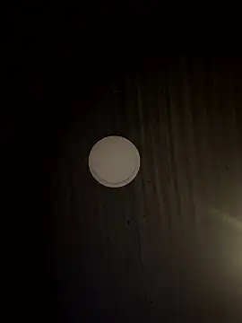 Amareto  online show from January 13, 2026, 10:08 am