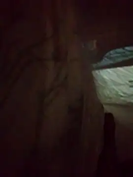 denca28 online show from March 14, 2026, 4:07 am