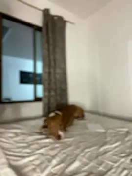 CurlyGirl 1 online show from January 18, 2026, 11:19 pm