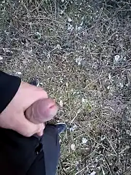 Picknick84 online show from March 21, 2025, 5:23 pm