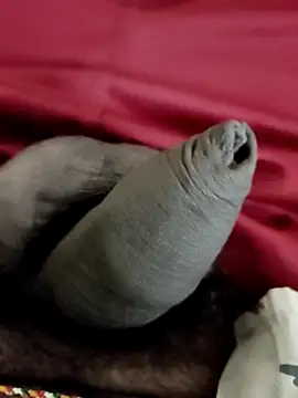 Ashish02345 online show from January 24, 2025, 8:22 pm