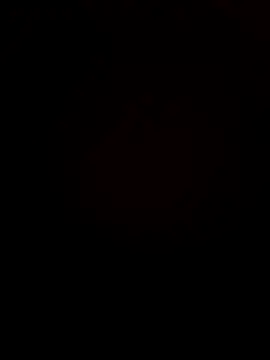 Djdjdjfk online show from April 7, 2026, 10:55 pm