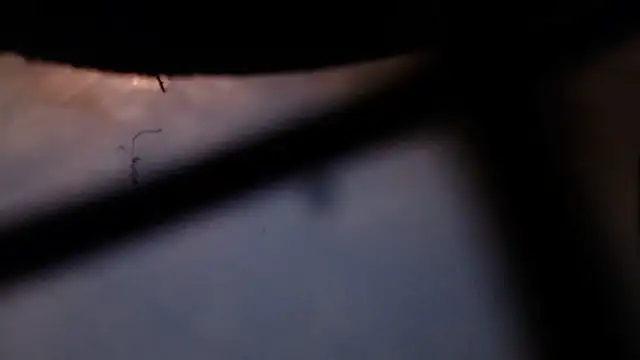 Cordt30 online show from February 12, 2026, 4:40 pm