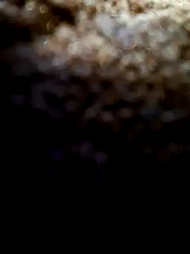 Exhibitionist1508 online show from September 9, 2025, 3:38 am