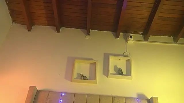 Snapshot of patty_m chatting on December 15, 2025, 12:00 pm patty m online show from December 15, 2025, 12:00 pm