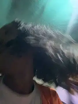 tamarabigass1 online show from December 7, 2024, 7:54 am