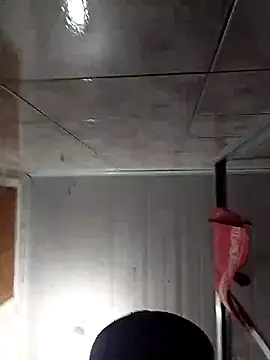 Snapshot of Adee21e chatting on November 17, 2025, 8:46 pm Adee21e online show from November 17, 2025, 8:46 pm