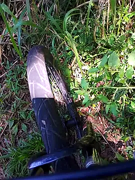 Snapshot of Adee21e chatting on November 21, 2025, 4:39 pm Adee21e online show from November 21, 2025, 4:39 pm