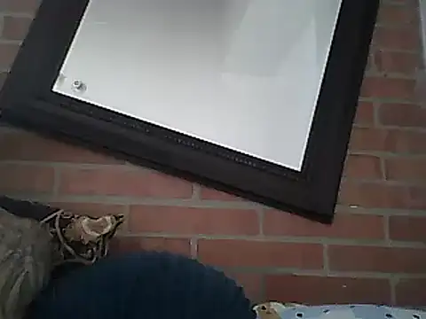 Skater29xx2 online show from March 15, 2025, 8:10 pm