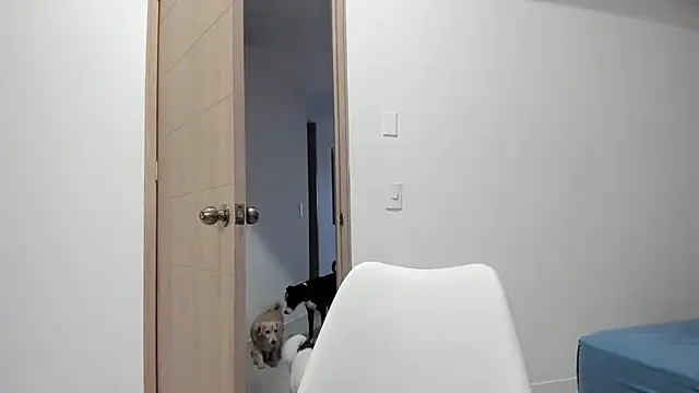 Snapshot of Vera_Fernandez chatting on November 12, 2025, 10:46 pm Vera Fernandez online show from November 12, 2025, 10:46 pm