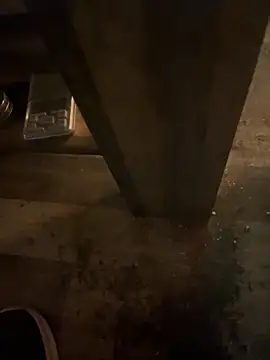 FreshWonder0 online show from November 17, 2025, 5:28 pm