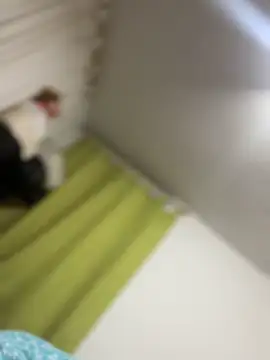 Mila Morgan online show from March 31, 2026, 3:58 pm