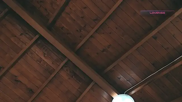 Snapshot of SilvaBranko chatting on March 2, 2026, 12:11 am SilvaBranko online show from March 2, 2026, 12:11 am