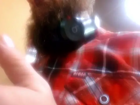 Snapshot of Armyexhibitionistvet chatting on November 14, 2025, 4:27 am Armyexhibitionistvet online show from November 14, 2025, 4:27 am