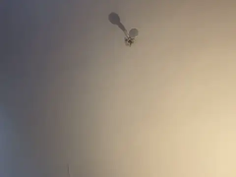 EnricoGio online show from March 17, 2026, 3:37 pm