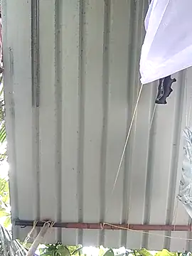 Mafiya1604 online show from September 27, 2025, 4:18 am