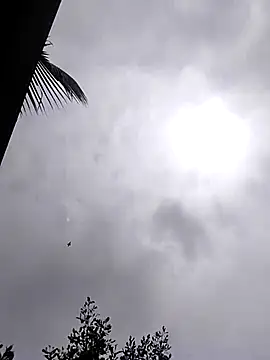 Mafiya1604 online show from September 19, 2025, 7:34 am