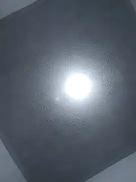 Flaquito pitudo online show from March 1, 2025, 4:37 am