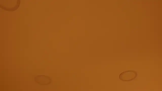 nakamura sam online show from April 8, 2026, 10:06 am