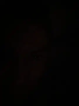 chamitopolla21 online show from July 29, 2026, 4:33 am
