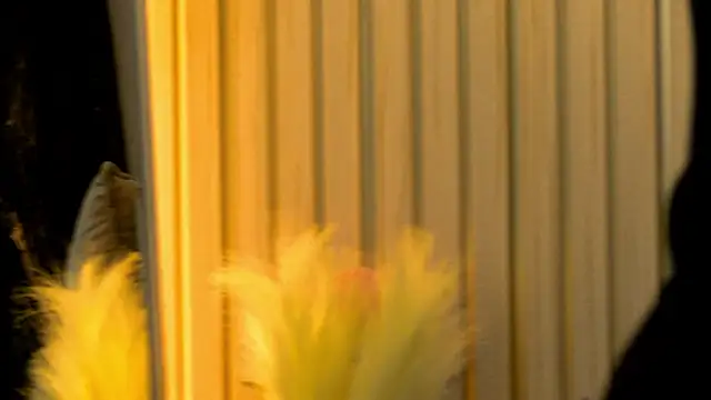 MiaCharm online show from February 2, 2026, 9:36 pm