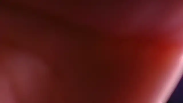 violett lo online show from December 20, 2025, 11:57 am